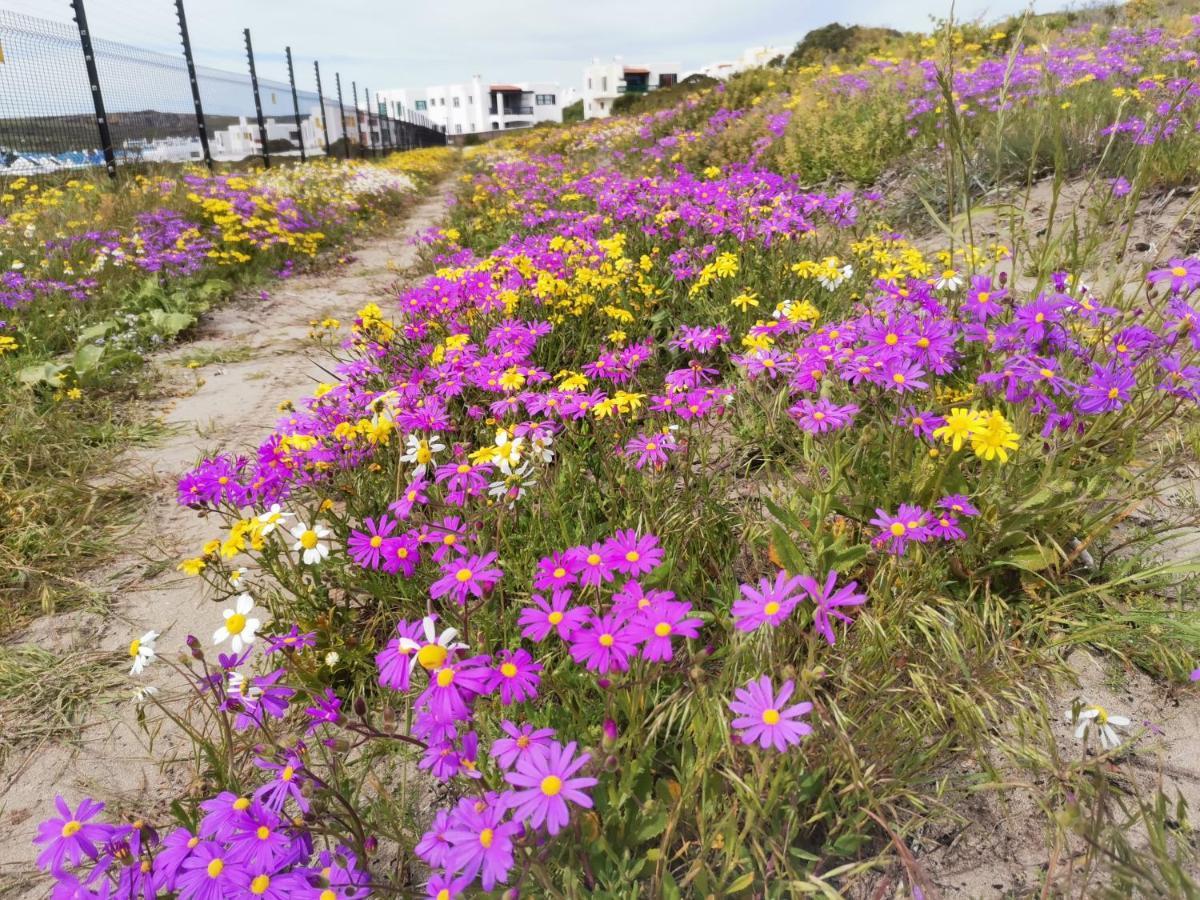 Langebaan Paradise Beach 9 Elara Экстерьер фото